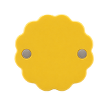 Patacon